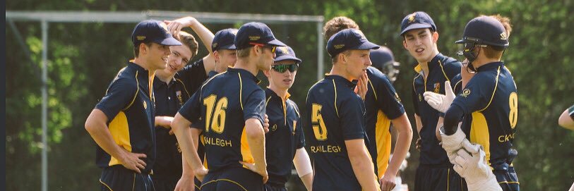 Cranleigh Cricket banner