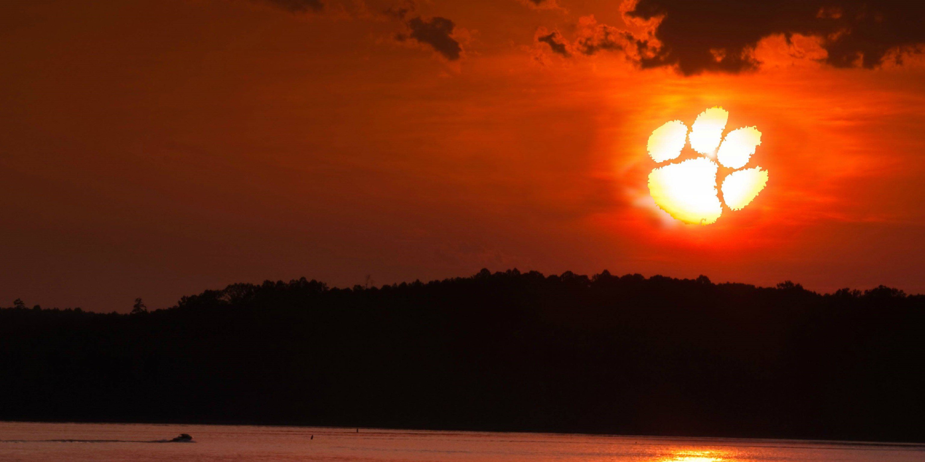 murfdawg19's profile banner image