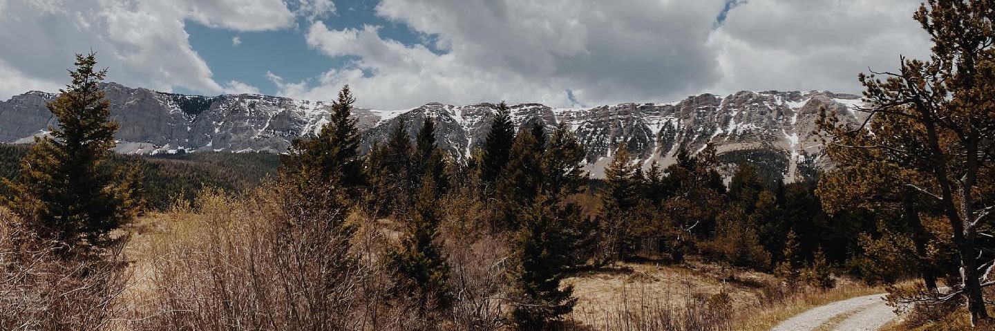 cerenajjohnson's profile banner image