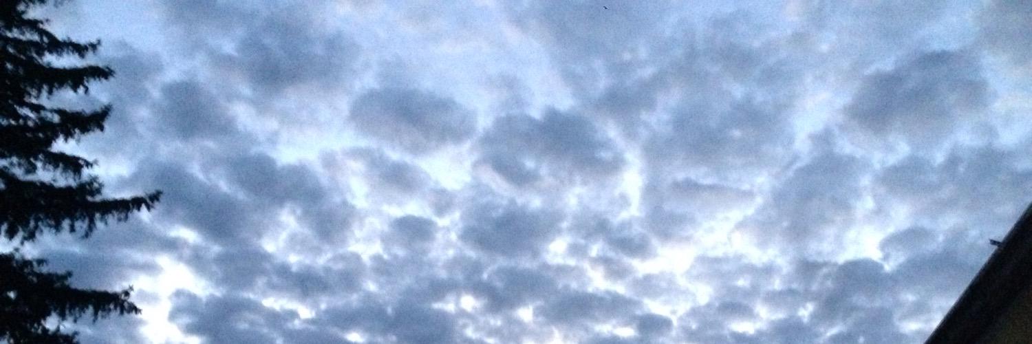 BPadington's profile banner image