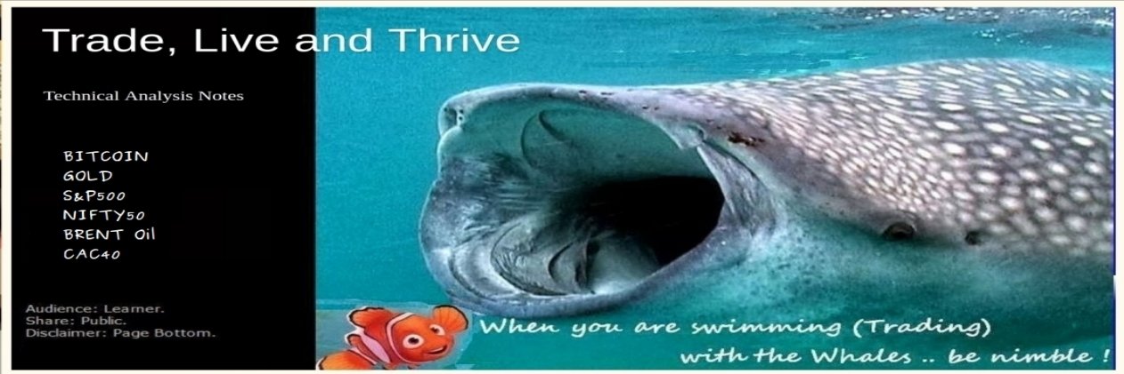 TradeLiveThrive's profile banner image