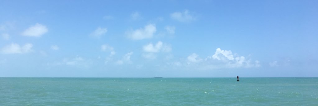 jacksonwilhite_'s profile banner image