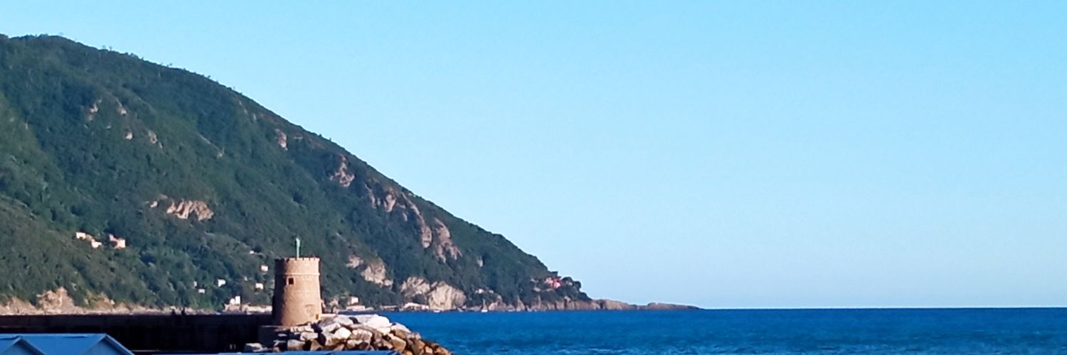 InfoRecco's profile banner image