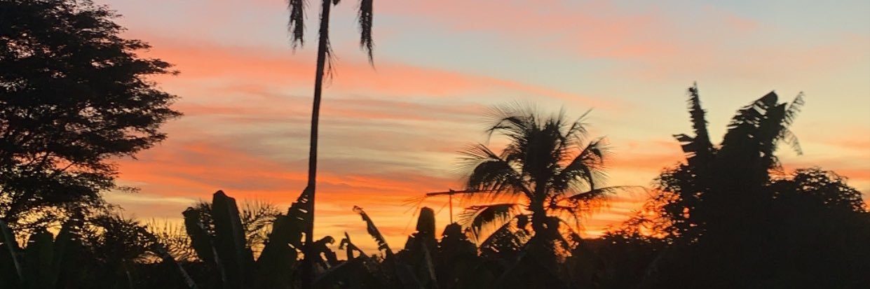 anacelinaco's profile banner image