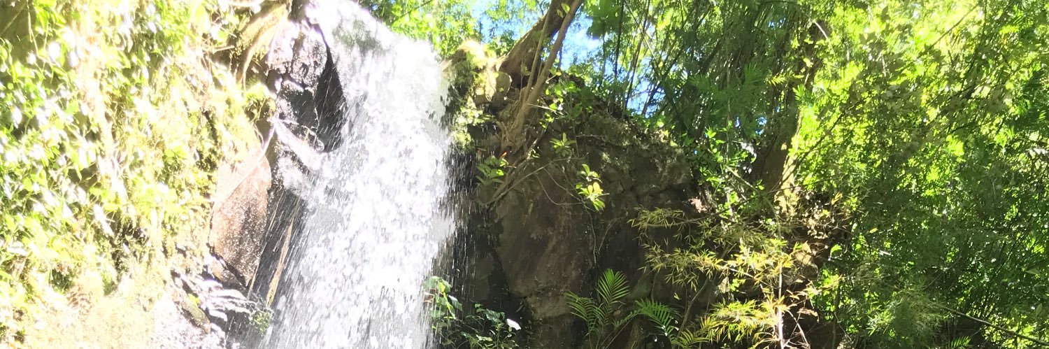 edgarpa12's profile banner image
