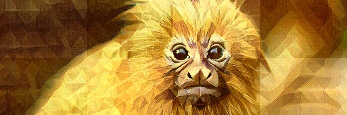 goldaffchen's profile banner image