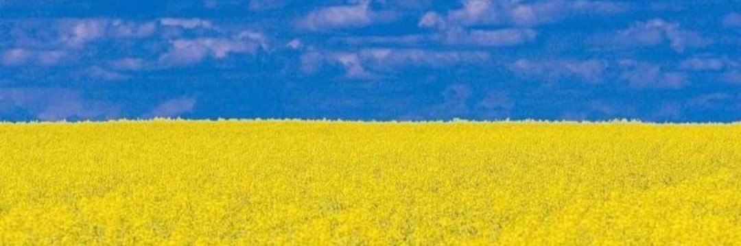 FusilliMaria's profile banner image