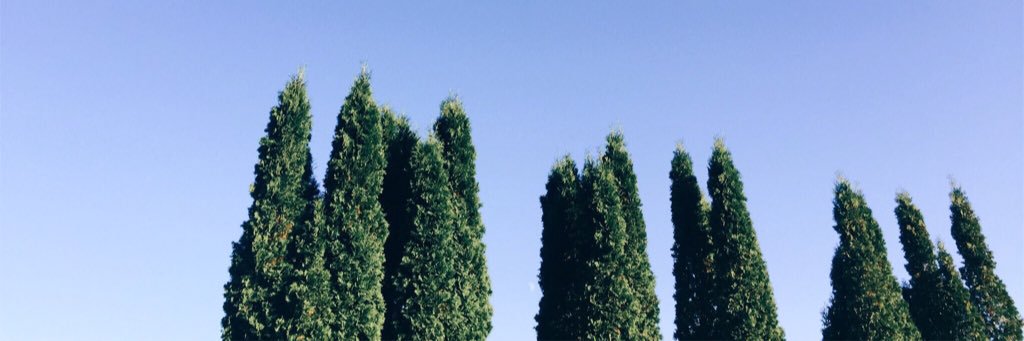 badbirchenergy's profile banner image