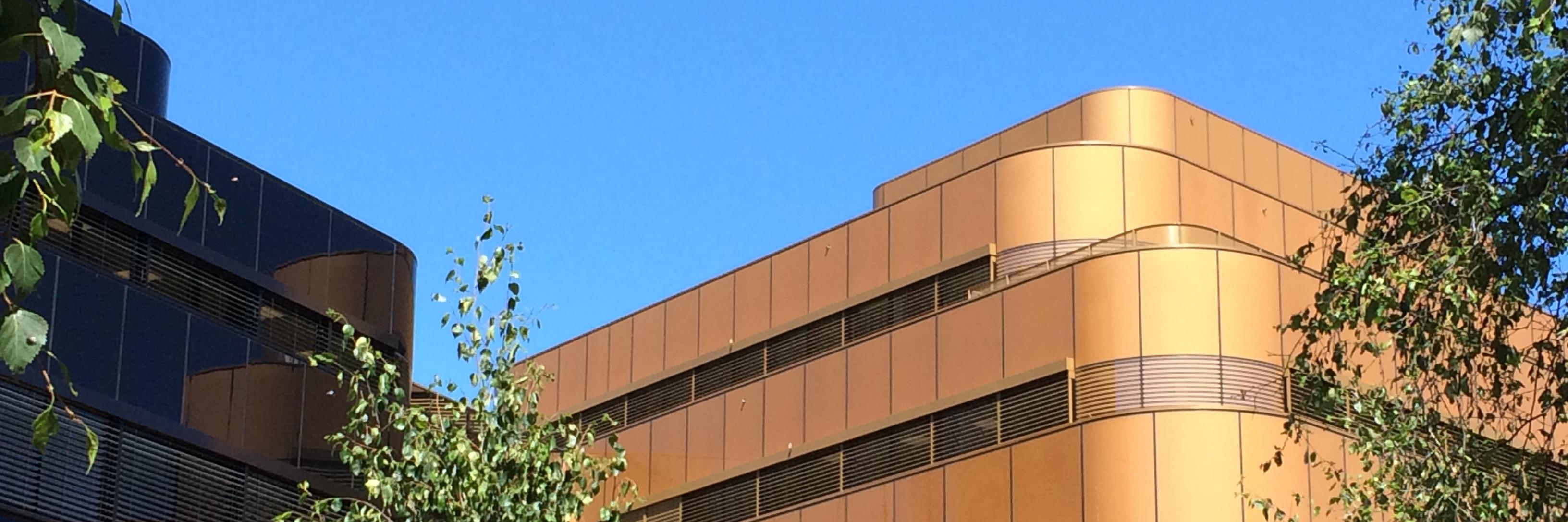 Ann-Marie Strand banner