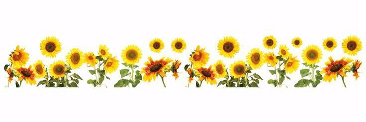 GisellyGois's profile banner image