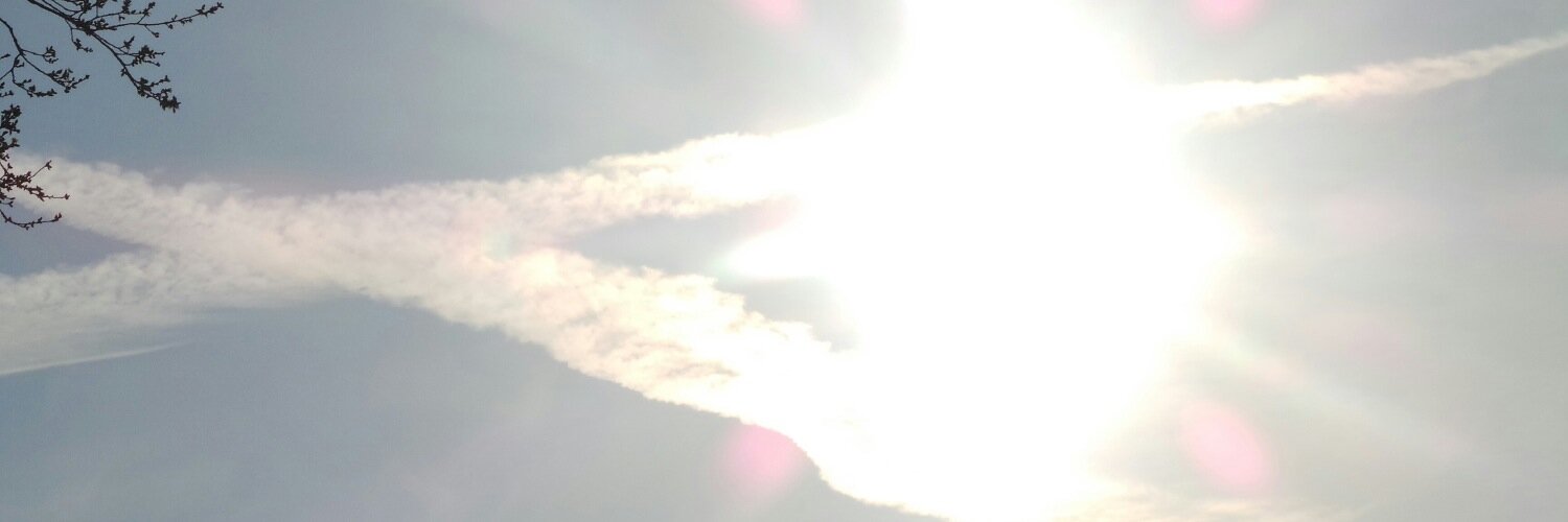 ReikiMasterMarie banner