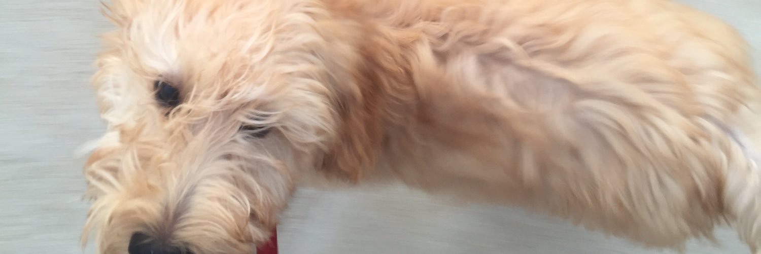 clairesignshere's profile banner image