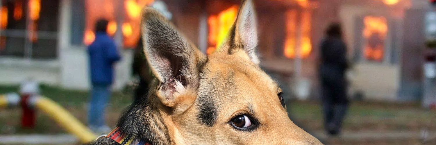 𝕤𝕥𝕖𝕡𝕙𝕒𝕟𝕚𝕖 𝕣𝕦𝕓𝕪 banner