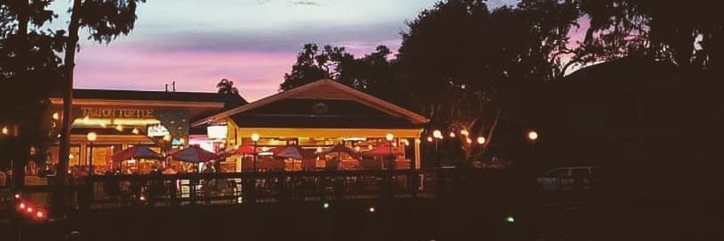thetarponturtle's profile banner image