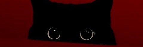 CoAmyyy's profile banner image