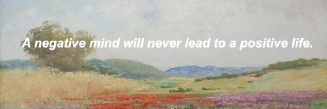 neri_dlbr's profile banner image