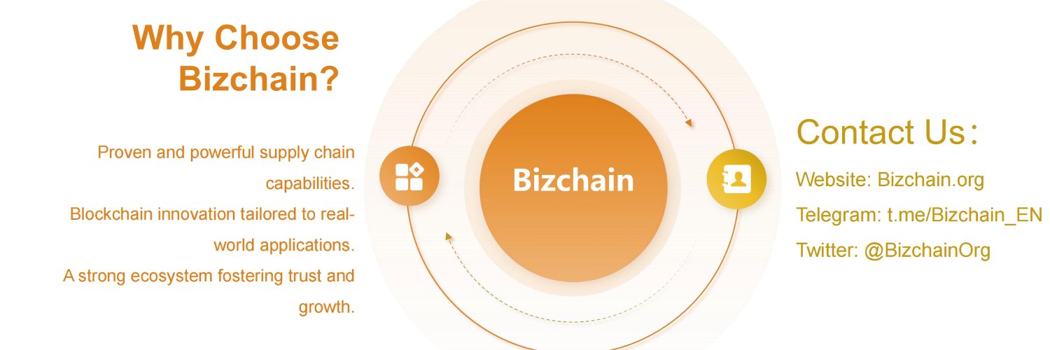 BizchainOrg's profile banner image