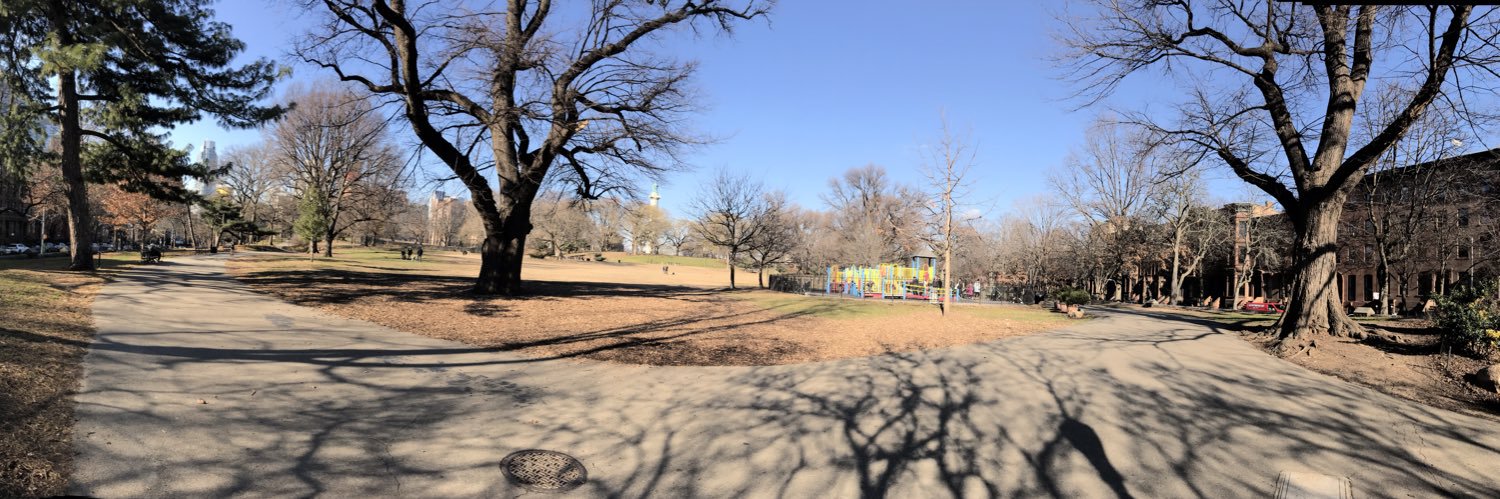 Chris D'Angelo banner