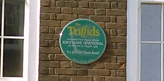 S.Gleeson-Mcilhatton banner