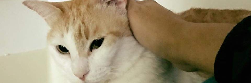 simon47462000's profile banner image