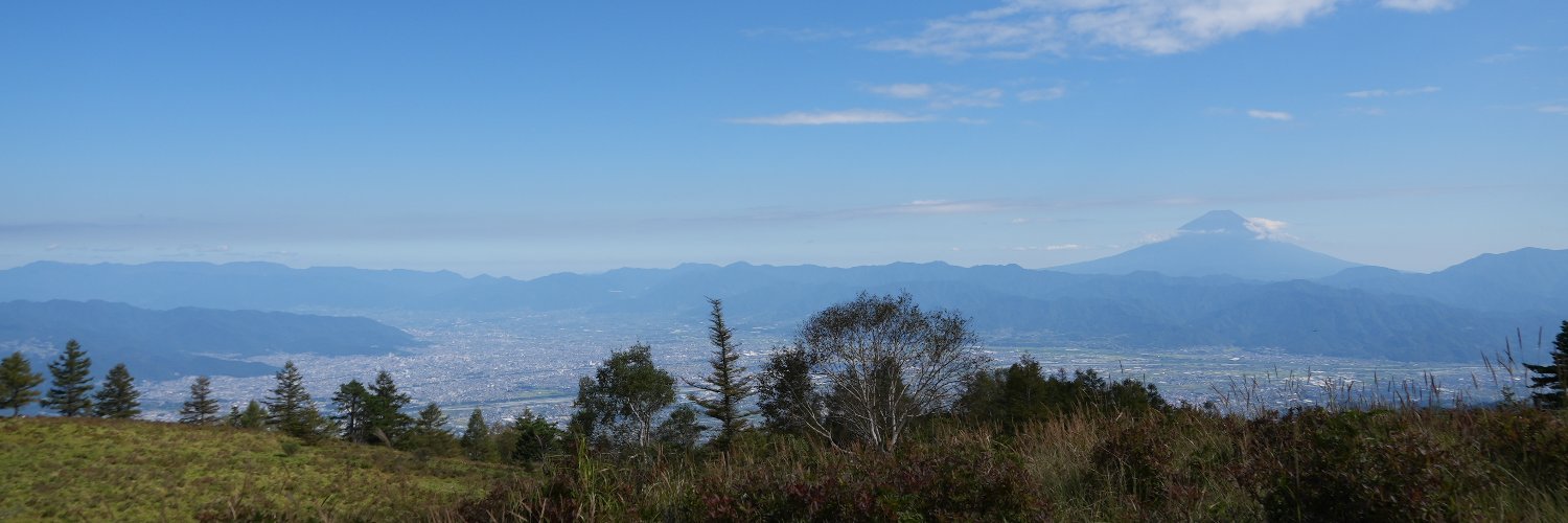 SCARS banner