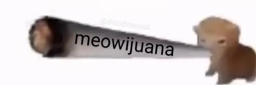 spinelesscowboy's profile banner image