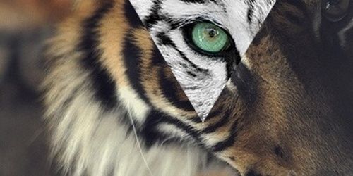rad_hd's profile banner image