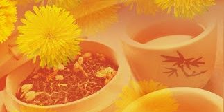 kiku0225's profile banner image