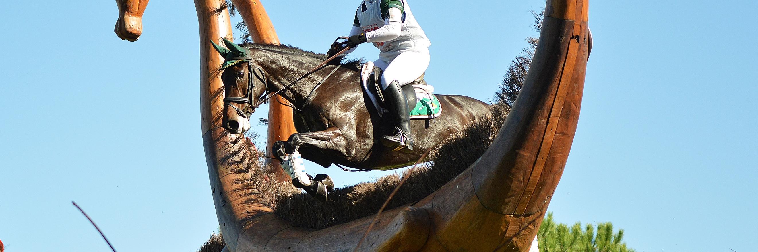Irish Eventing Times banner