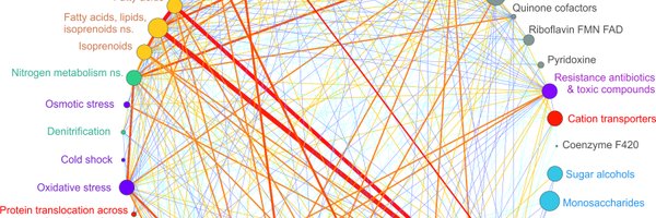 campanarostef Profile Banner