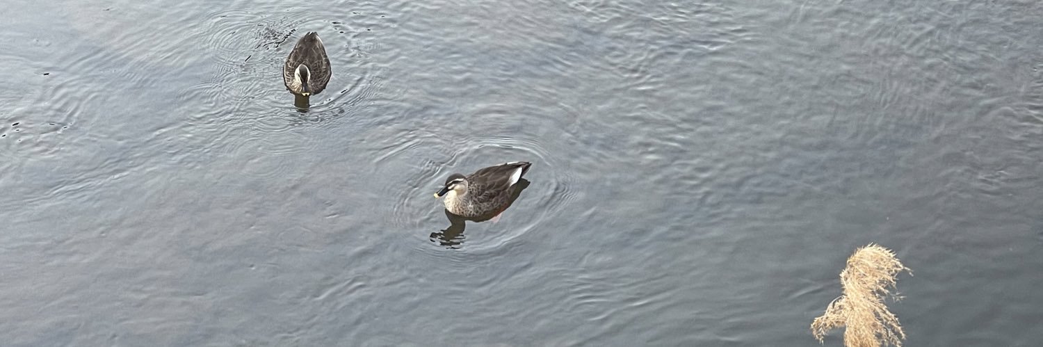 penguin_of's profile banner image