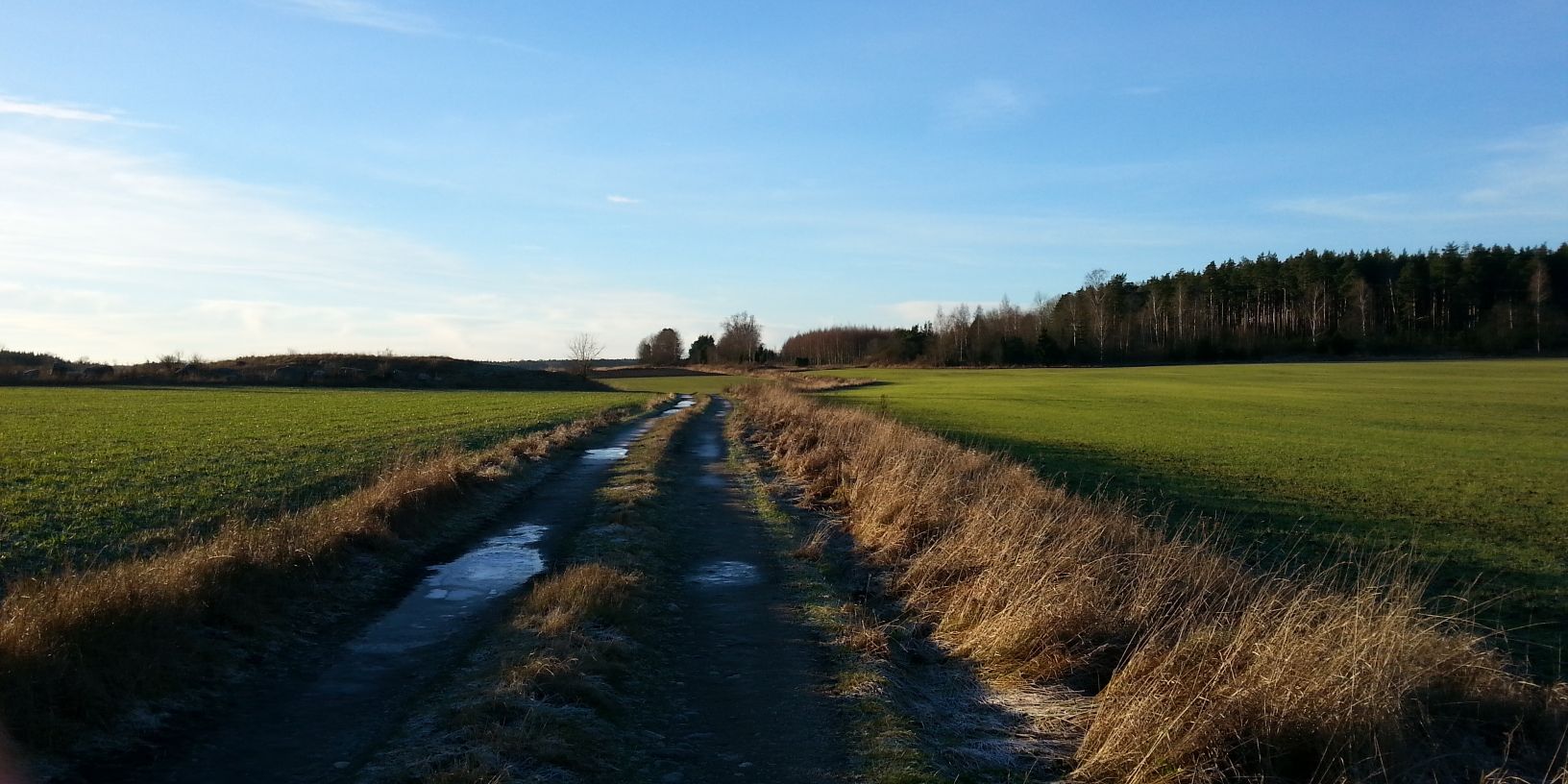 gustafssonspringer banner