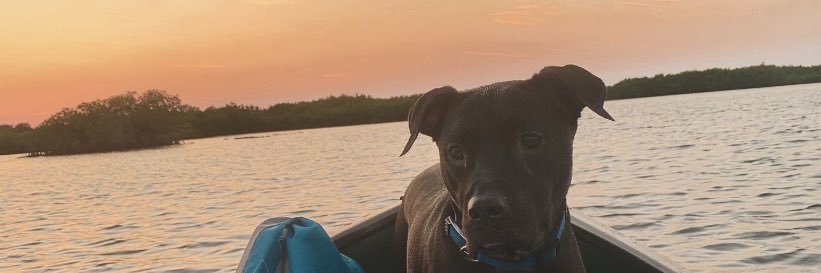 quest_xo's profile banner image