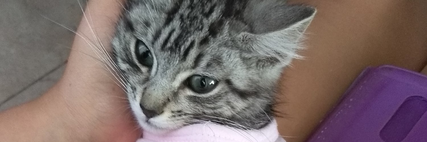 SashaVidela's profile banner image