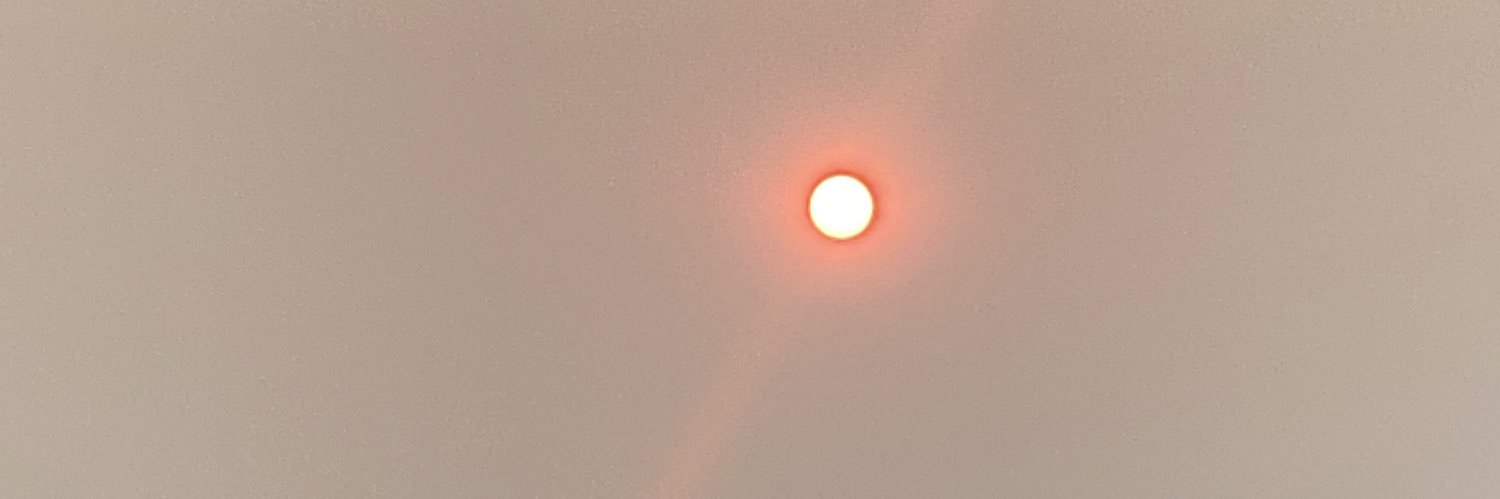 SydneyRoss_'s profile banner image