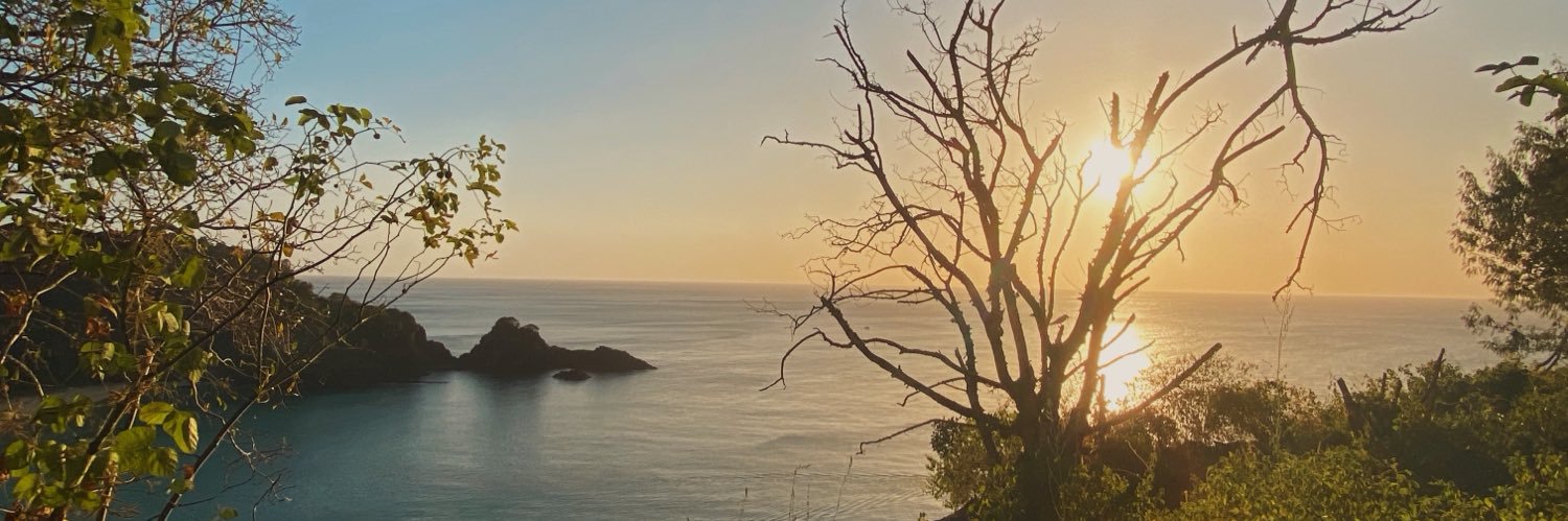 letbiller's profile banner image