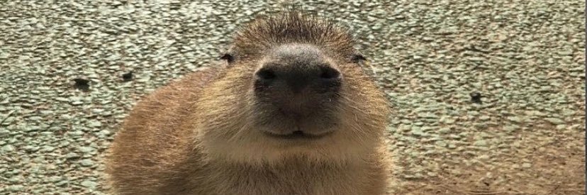 AlexBroadb's profile banner image