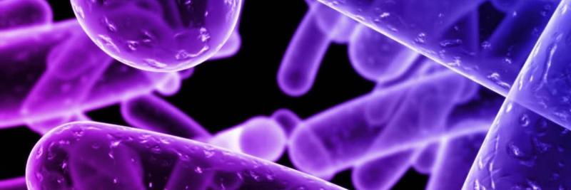 Microbio_diadia's profile banner image