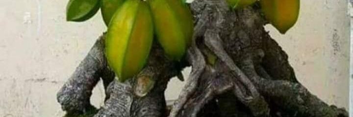 AhamHendra's profile banner image
