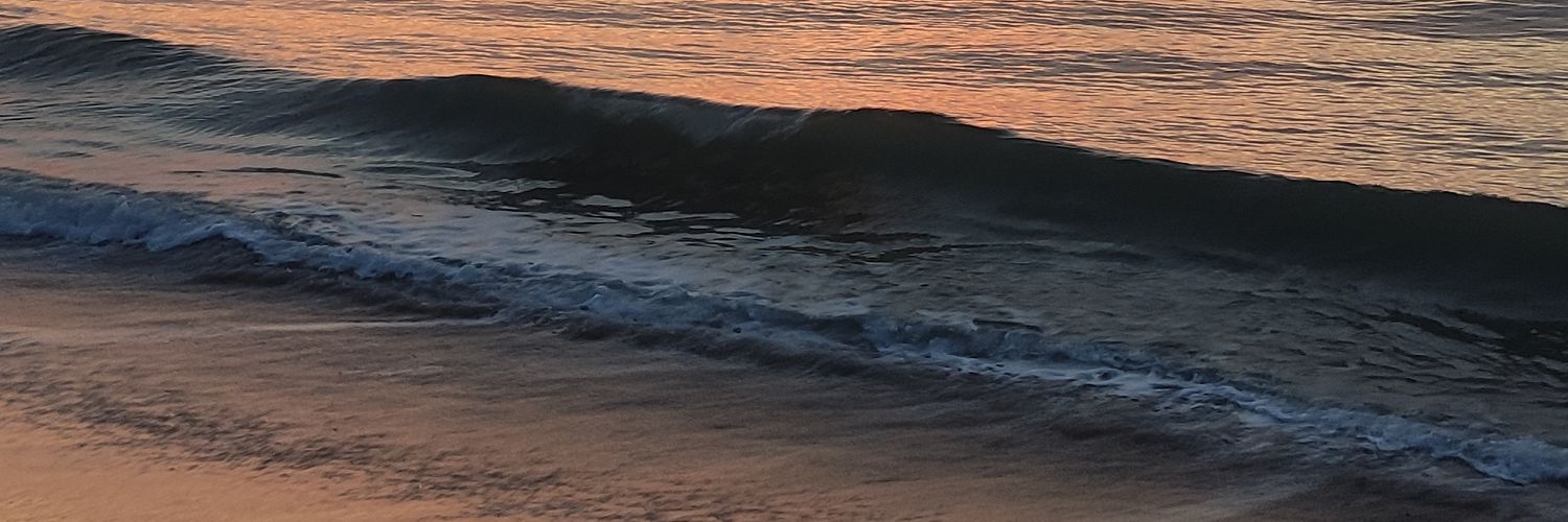 pilapodre's profile banner image