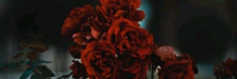 dian__5's profile banner image