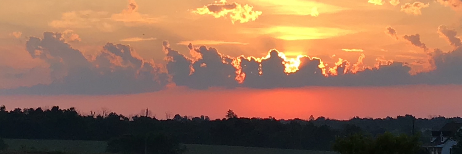 Bunella 🌸🕊🌸 banner