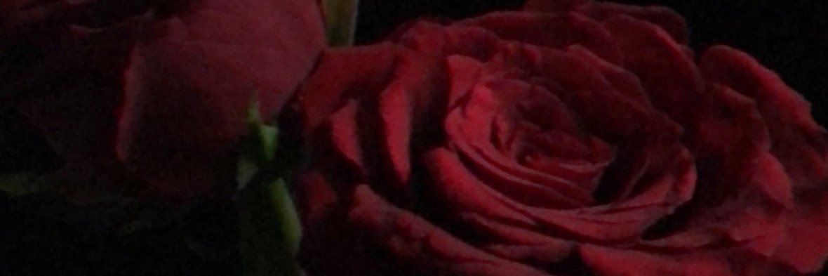 mahmodomar711's profile banner image