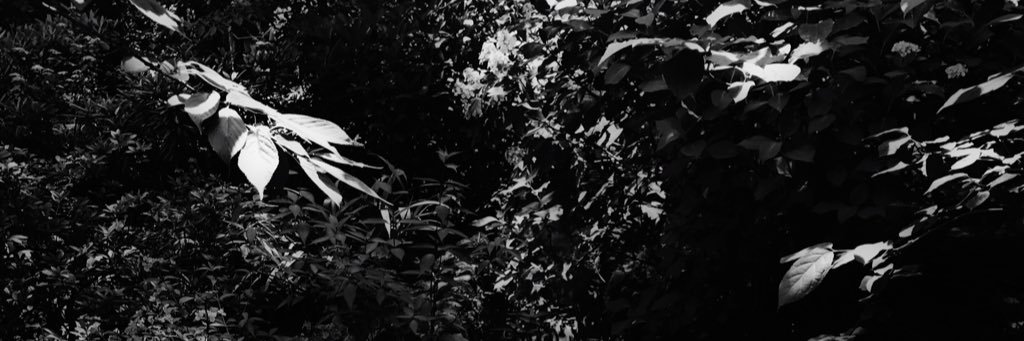 _vitium's profile banner image