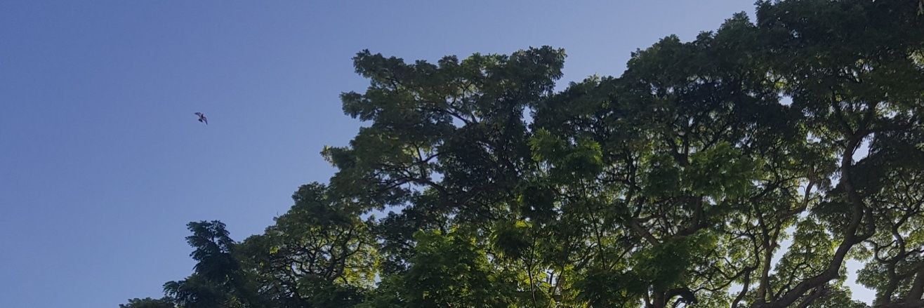 usaymat's profile banner image