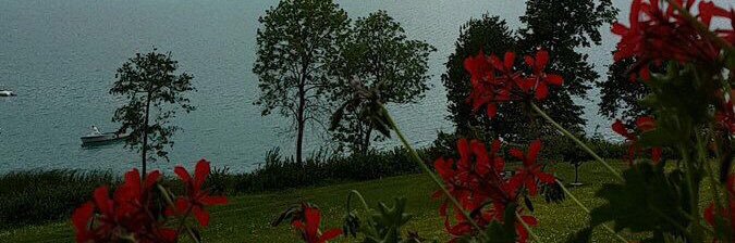 ali_ok38's profile banner image