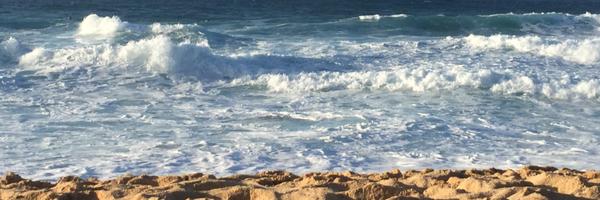 barryshess Profile Banner