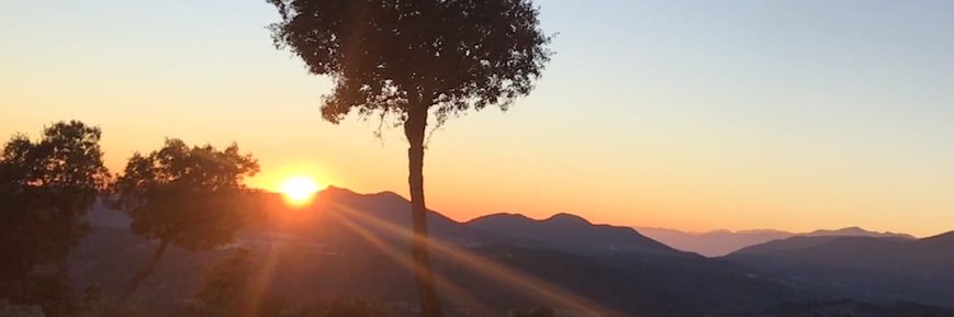 PaulaCarrillo1's profile banner image
