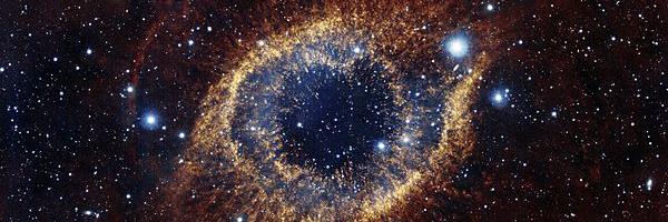 Alexandra Klein banner