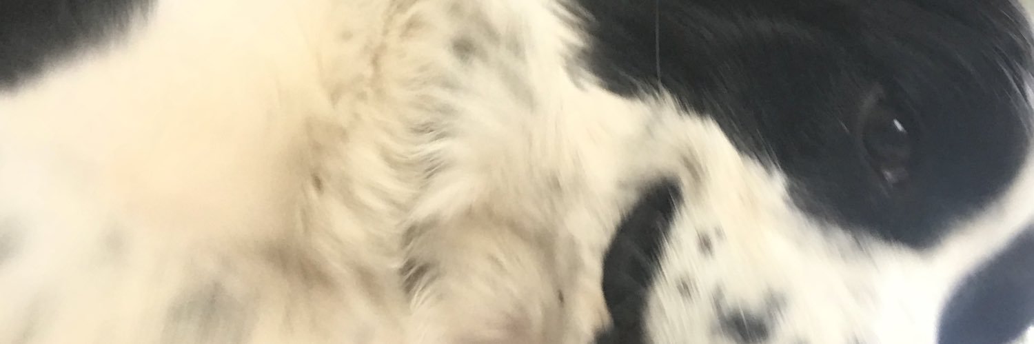 samholman's profile banner image